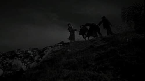 Die Vergessenen Bild 2