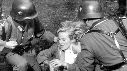 Carve Her Name with Pride Bild 8