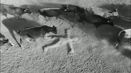 Der Fremde Sohn Bild 3