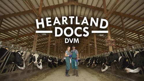 Heartland Docs, DVM Bild 3