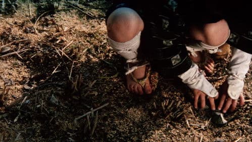 Zatoichi at Large Bild 4