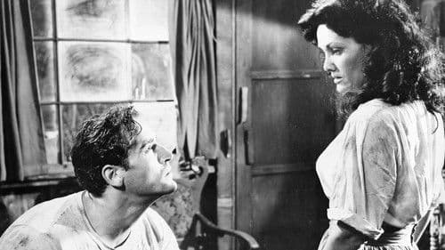 Schrei des Gejagten Bild 2