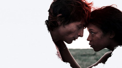 Bones and All Bild 7