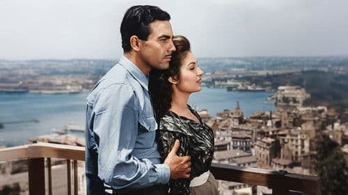 Otobüs Yolcuları Bild 4