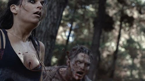 Wyrmwood: Road of the Dead Bild 5