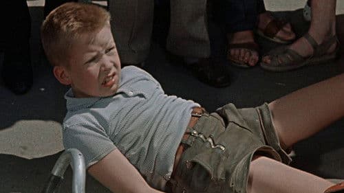 Alfons Zitterbacke Bild 4