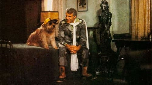 Reichtum ist keine Schande Bild 4