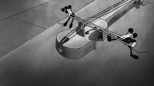 Ist die Katze aus dem Haus ... Bild 4