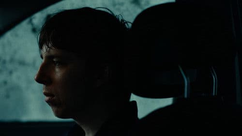 Despite the Night Bild 1