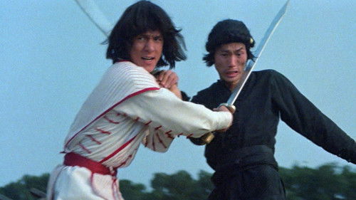 Karate Bomber Bild 7