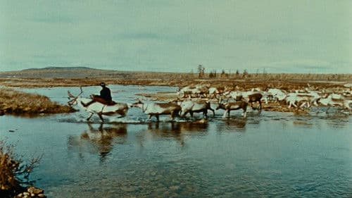 Lettre de Sibérie Bild 7