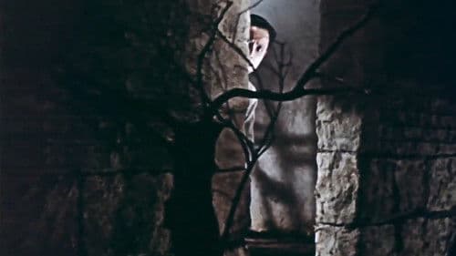 红色娘子军 Bild 6