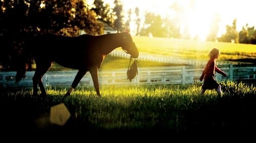 Dreamer - Ein Traum wird wahr Bild 1