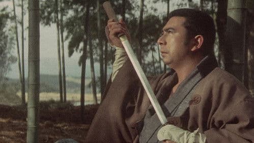 Die Rückkehr des Zatoichi Bild 6