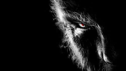 Wolfman Bild 4