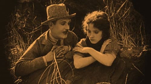 The Broken Butterfly Bild 3