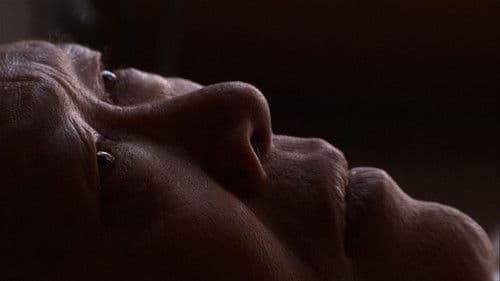 Your Day Is My Night Bild 2