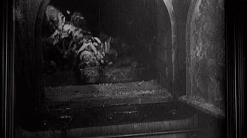 Imaginary Witness: Hollywood and the Holocaust Bild 2