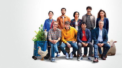 La cour des miracles Bild 4