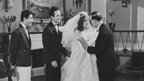 Ο Γαμπρός Μου, Ο Δικηγόρος! Bild 1