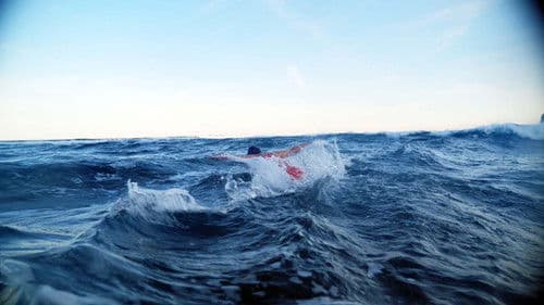 Die Schwimmerin Bild 1