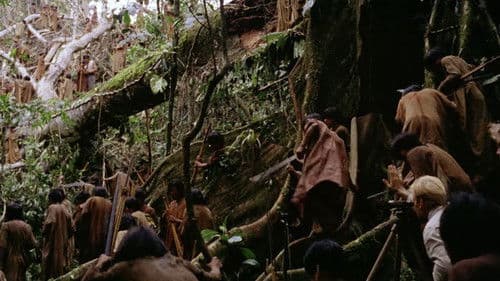 Fitzcarraldo Bild 3
