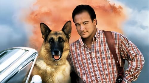 Mein Partner mit der kalten Schnauze 2 Bild 1