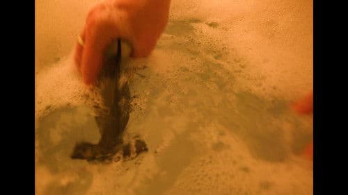 Comisura (The Corners of Your Mouth) Bild 7