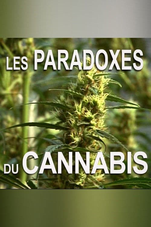 Cannabis!