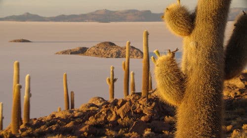 The Wild Andes Bild 4