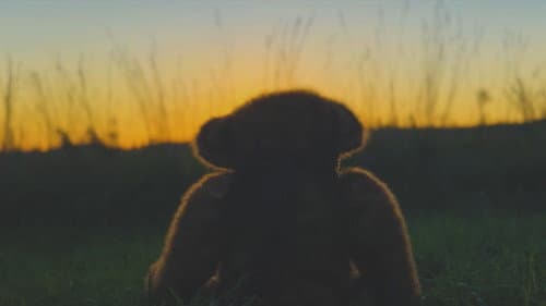 The Boy and the Bear Bild 1