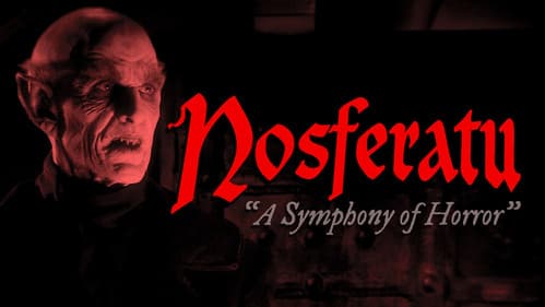 Nosferatu Bild 1