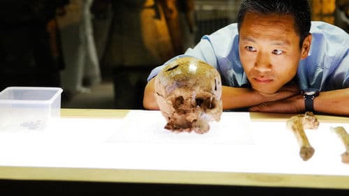 Chinas geheimnisvolles Kaisergrab Bild 4