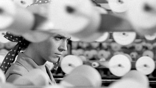 Eltávozott nap Bild 1