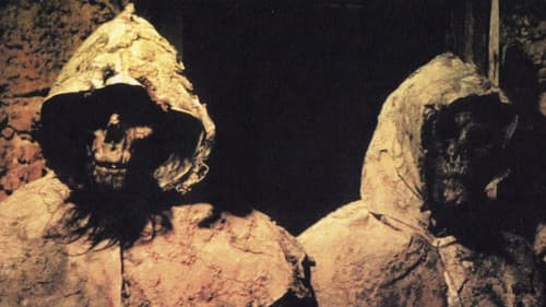 Das Geisterschiff der schwimmenden Leichen Bild 4