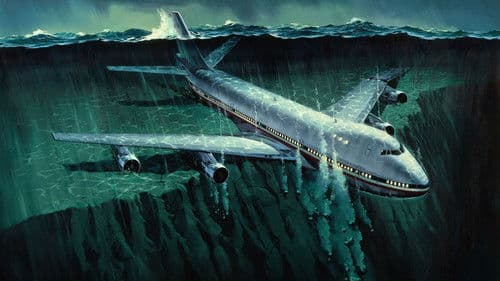 Airport '77 - Verschollen im Bermuda-Dreieck Bild 2