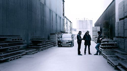 Im Auge des Wolfes Bild 6