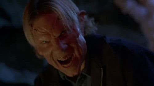 Manchmal kommen sie wieder 2 Bild 6