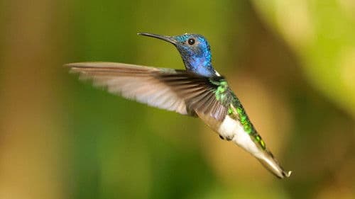 Die Tricks des Überlebens Bild 3