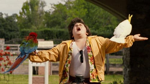 Ace Ventura 3 - Der Tier-Detektiv Bild 2