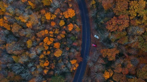 Smoky Mountains Ranger Bild 4