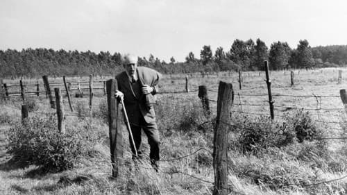 Der verlorene Engel Bild 3