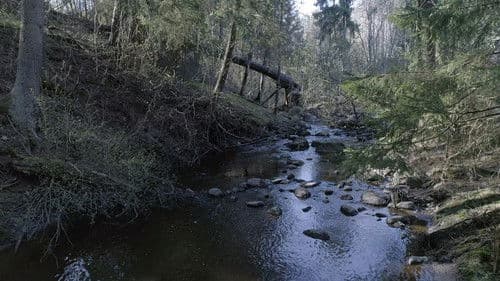 Arman ja Suomen rikosmysteerit Bild 2