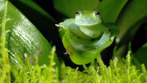 Zwischen Zwei Ozeanen Bild 4