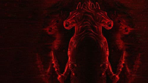 అశ్విన్స్ Bild 4