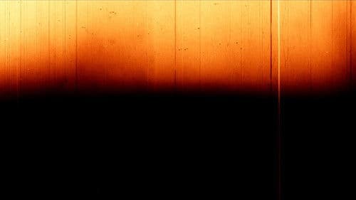 Slaughter (Besmel) Bild 4