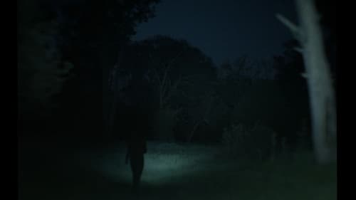 A veces pienso en volver Bild 1