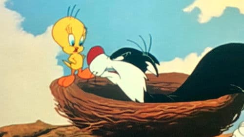 Vöglein, Vöglein auf dem Baum Bild 2