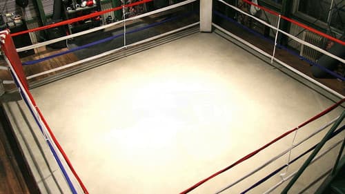 １ポンドの福音 Bild 2