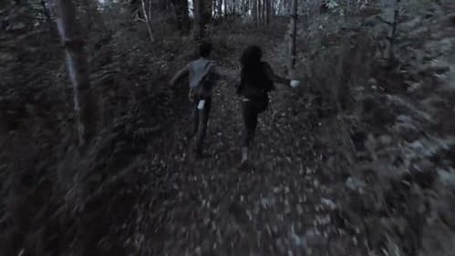 Couple In The Woods Bild 2